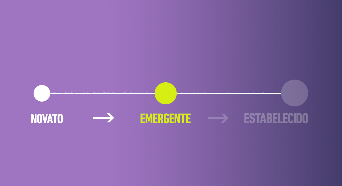 Desafios em marketing, vendas e branding para empresas emergentes: a importância da maturidade digital