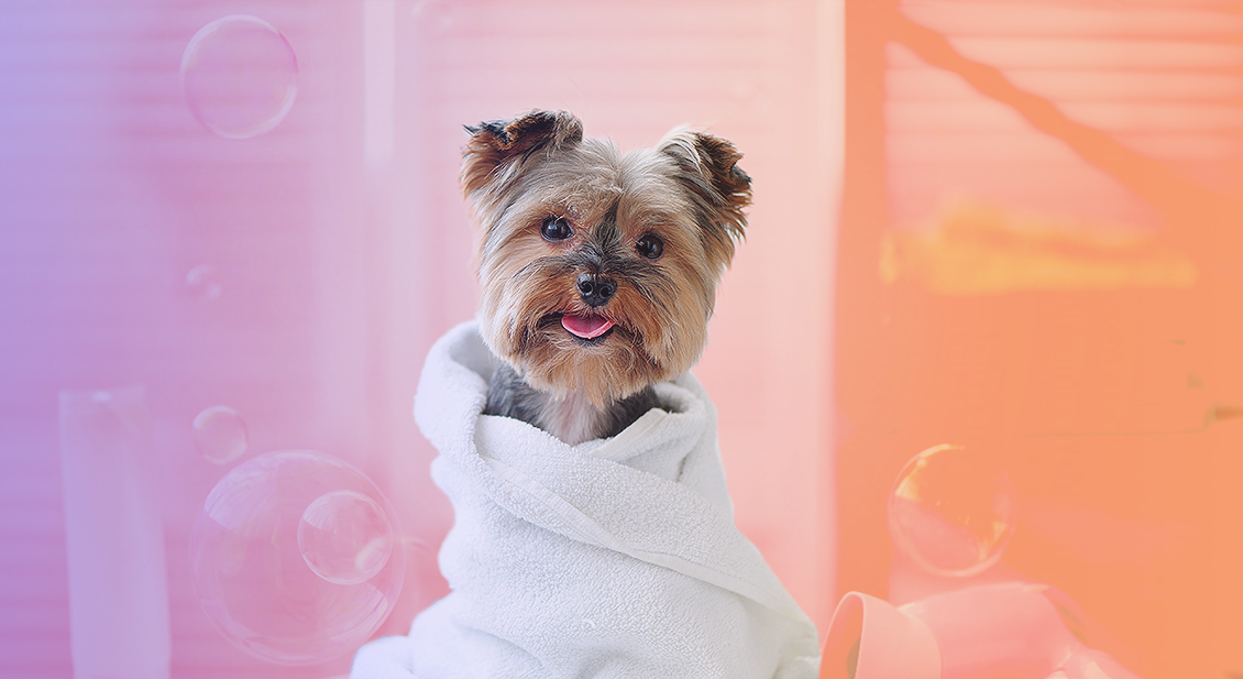 Você tem menos de 10 segundos para cativar sua audiência