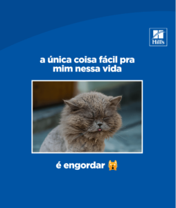 A única coisa fácil pra mim nessa vida...