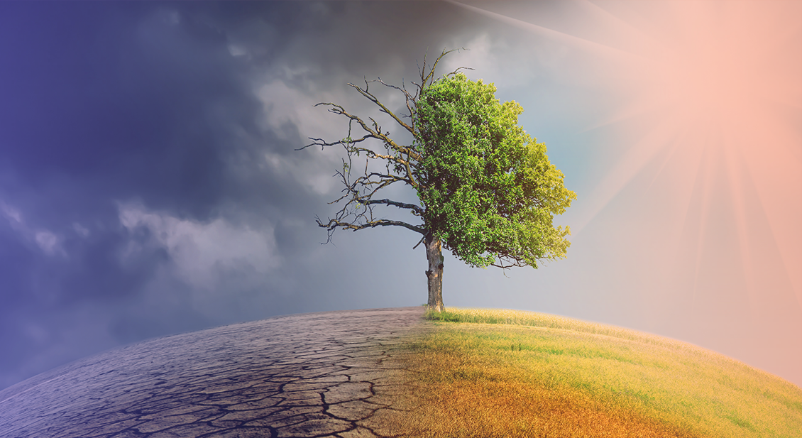 A evolução do inbound e a transformação do B2B no cenário digital